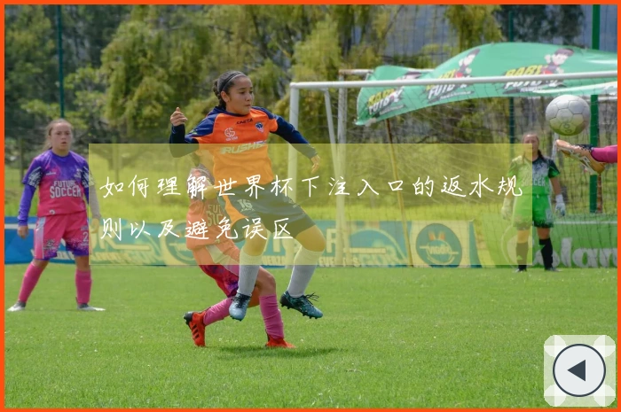 如何理解世界杯下注入口的返水规则以及避免误区