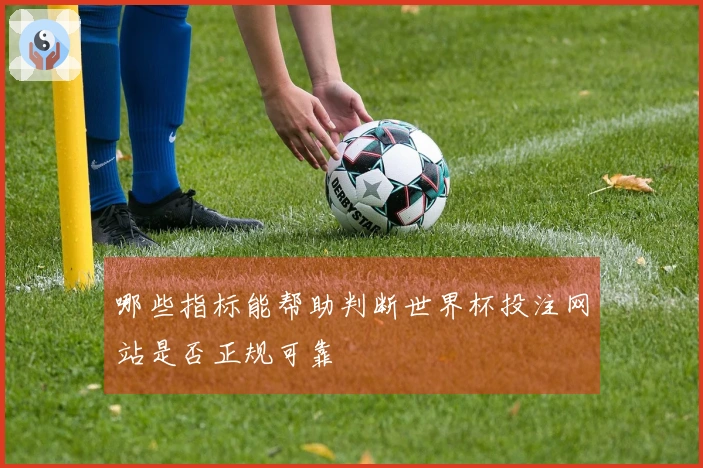 哪些指标能帮助判断世界杯投注网站是否正规可靠