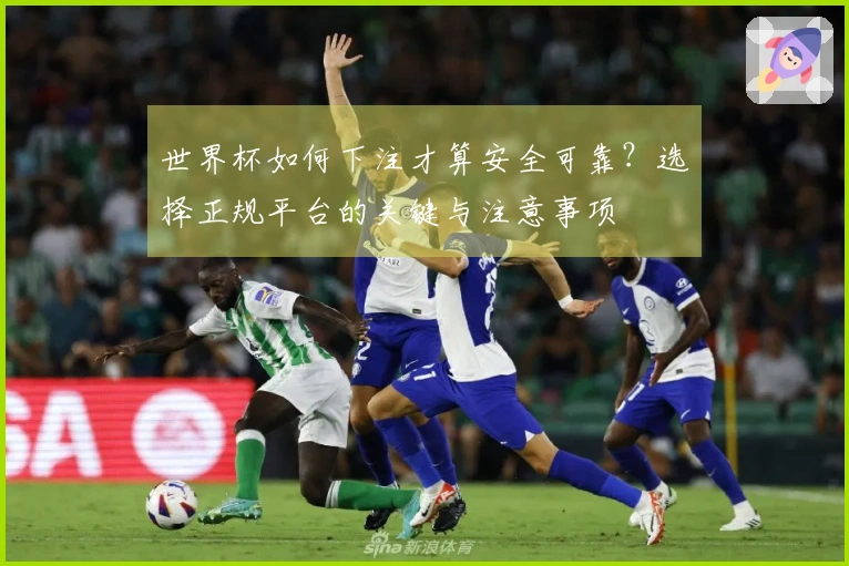 世界杯如何下注才算安全可靠？选择正规平台的关键与注意事项