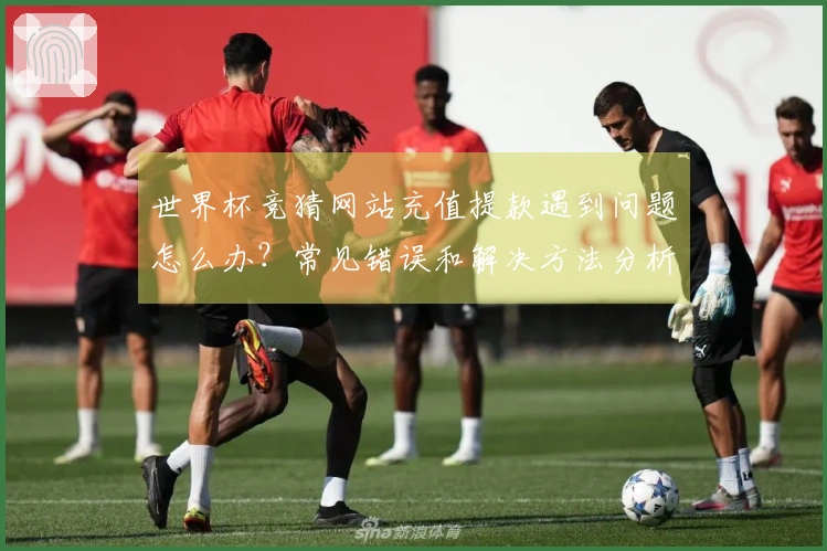 世界杯竞猜网站充值提款遇到问题怎么办？常见错误和解决方法分析