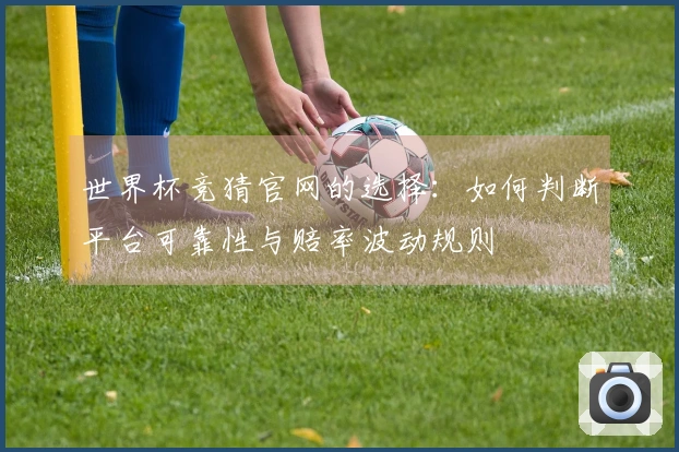 世界杯竞猜官网的选择：如何判断平台可靠性与赔率波动规则