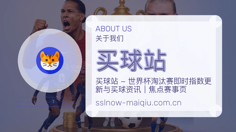 买球站关于我们